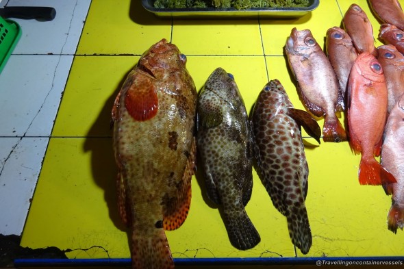 Fish Market Panabo